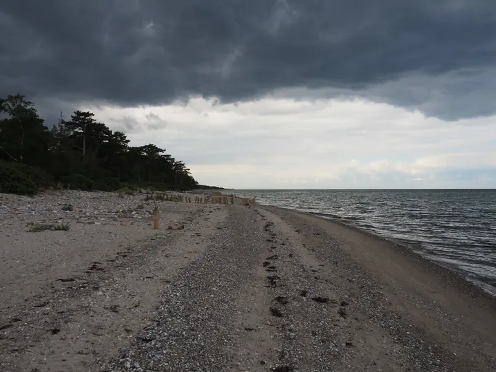 Halshuisene + Enebaerodde Beach (Denemarken)